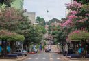 Caminhada em Foz do Iguaçu marca Semana Nacional da Pessoa com Deficiência Caminhada em Foz do Iguaçu marca Semana Nacional da Pessoa com Deficiência
