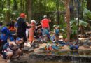 Parque das Aves recebe mais de 3 mil moradores de Foz do Iguaçu em ação de gratuidade para celebrar o aniversário da cidade