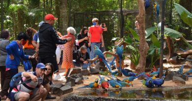 Parque das Aves recebe mais de 3 mil moradores de Foz do Iguaçu em ação de gratuidade para celebrar o aniversário da cidade Parque das Aves recebe mais de 3 mil moradores de Foz do Iguaçu em ação de gratuidade para celebrar o aniversário da cidade