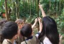 Parque das Aves celebra aniversário de 32 anos com entrada gratuita para moradores de Foz do Iguaçu