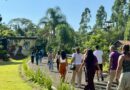 Floresta dos Primatas é inaugurada no Eco Park Foz em Foz do Iguaçu