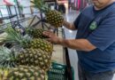 Mercado Público Barrageiro fortalece a agricultura familiar com a abertura da banca de hortifruti neste sábado (15)