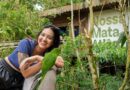 Foz do Iguaçu oferece passeios de ecoturismo para observar animais e conhecer a biodiversidade da Mata Atlântica