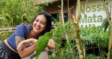Foz do Iguaçu oferece passeios de ecoturismo para observar animais e conhecer a biodiversidade da Mata Atlântica