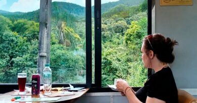 Viagem de trem é uma jornada inesquecível pela história e natureza da Serra do Mar