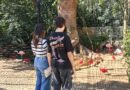 Últimos dias para moradores de Foz visitarem gratuitamente o Parque das Aves Últimos dias para moradores de Foz visitarem gratuitamente o Parque das Aves
