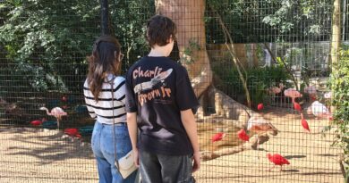 Últimos dias para moradores de Foz visitarem gratuitamente o Parque das Aves Últimos dias para moradores de Foz visitarem gratuitamente o Parque das Aves
