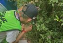 Parque das Aves abre inscrições para Colônia de Férias com experiência noturna inédita