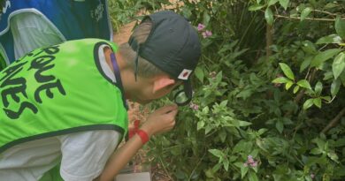 Parque das Aves abre inscrições para Colônia de Férias com experiência noturna inédita Parque das Aves abre inscrições para Colônia de Férias com experiência noturna inédita
