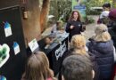 Parque das Aves promove exposição sobre araucárias e papagaios ameaçados de extinção Parque das Aves promove exposição sobre araucárias e papagaios ameaçados de extinção