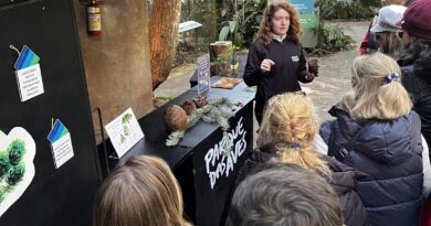 Parque das Aves promove exposição sobre araucárias e papagaios ameaçados de extinção