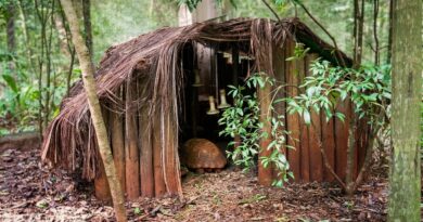 Parque das Aves reforça cuidados durante inverno