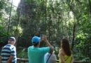 Viaje Paraná conquista reconhecimento global e passa a integrar o comitê de turismo da ONU Viaje Paraná conquista reconhecimento global e passa a integrar o comitê de turismo da ONU