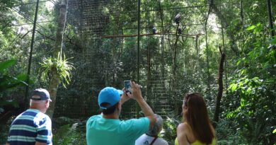 Viaje Paraná conquista reconhecimento global e passa a integrar o comitê de turismo da ONU Viaje Paraná conquista reconhecimento global e passa a integrar o comitê de turismo da ONU