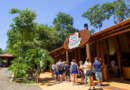 Passeio do Macuco Safari é suspenso por 3 dias após acidente com embarcação Passeio do Macuco Safari é suspenso por 3 dias após acidente com embarcação