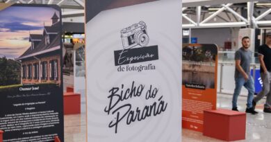 Aeroporto de Foz do Iguaçu ganha exposição com fotografias e obras de artistas paranaenses Aeroporto de Foz do Iguaçu ganha exposição com fotografias e obras de artistas paranaenses