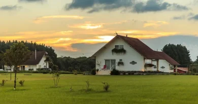 Festival do Purunã estreia para transformar sabores, turismo e cultura em uma experiência única no Paraná