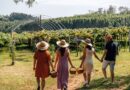 Região Uva e Vinho na Serra Gaúcha consolida enoturismo com experiências para toda a família Região Uva e Vinho na Serra Gaúcha consolida enoturismo com experiências para toda a família