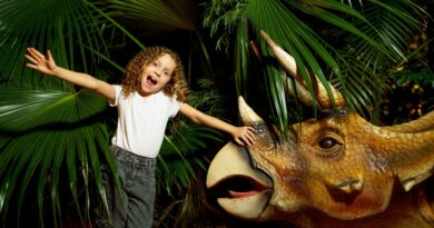 Morador de Foz ganha entrada gratuita no Dreams Park Show e Zoo Park Foz ao acompanhar turistas