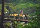 Parque Nacional do Iguaçu registra o maior semestre da história em visitação Parque Nacional do Iguaçu registra o maior semestre da história em visitação