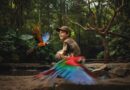 Parque das Aves abre inscrições para nova edição do Clubinho Guardiões da Mata Atlântica