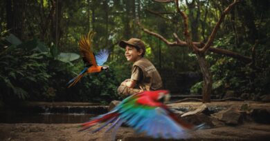 Parque das Aves abre inscrições para nova edição do Clubinho Guardiões da Mata Atlântica