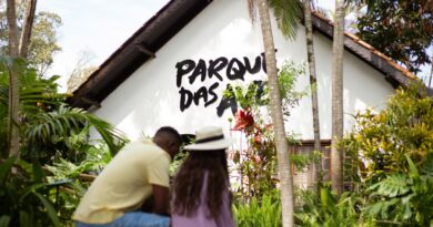 Parque das Aves celebra o Dia dos Pais com entrada gratuita e brinde especial