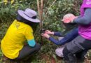 Projeto Frutos do Iguaçu capacita produtores para criação de viveiros de espécies nativas da Mata Atlântica