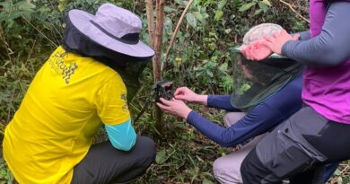 Projeto Frutos do Iguaçu capacita produtores para criação de viveiros de espécies nativas da Mata Atlântica