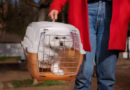 Transporte aéreo de pets ganha novas regras para tornar viagens mais seguras e tranquilas para tutores e animais Transporte aéreo de pets ganha novas regras para tornar viagens mais seguras e tranquilas para tutores e animais