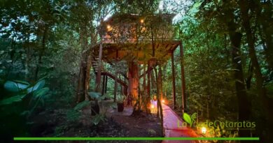Tierra Guaraní Lodge une luxo, natureza e tranquilidade na Selva Iryapú, em Puerto Iguazú Tierra Guaraní Lodge une luxo, natureza e tranquilidade na Selva Iryapú, em Puerto Iguazú