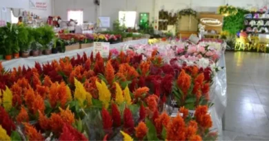 Ecoflores reúne mais de 300 espécies de plantas e promove ações solidárias em Foz do Iguaçu Ecoflores reúne mais de 300 espécies de plantas e promove ações solidárias em Foz do Iguaçu