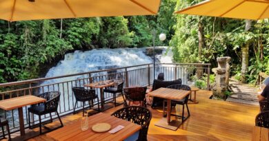 Além das Cataratas: Circuito São João revela refúgio histórico com café e cachoeira em Foz do Iguaçu Além das Cataratas: Circuito São João revela refúgio histórico com café e cachoeira em Foz do Iguaçu