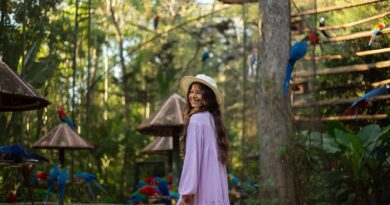 Parque das Aves atinge 500 mil seguidores no Instagram Parque das Aves atinge 500 mil seguidores no Instagram