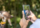 Zoo Park Foz oferece ingresso a R$ 15 para moradores de Foz e municípios lindeiros Zoo Park Foz oferece ingresso a R$ 15 para moradores de Foz e municípios lindeiros