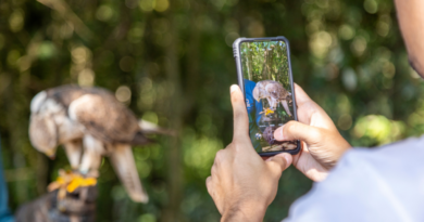 Zoo Park Foz oferece ingresso a R$ 15 para moradores de Foz e municípios lindeiros Zoo Park Foz oferece ingresso a R$ 15 para moradores de Foz e municípios lindeiros