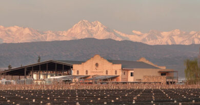 Mendoza esconde muito mais do que apenas vinhos de Malbec?