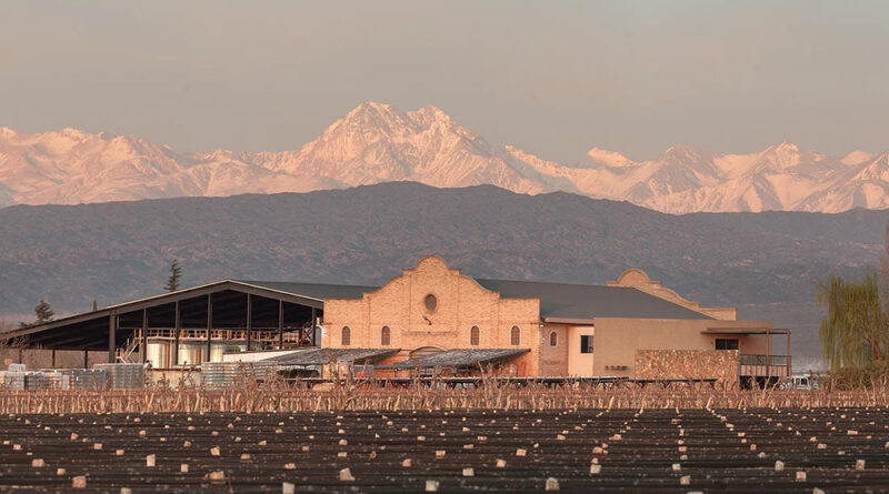 Mendoza esconde muito mais do que apenas vinhos de Malbec? Mendoza esconde muito mais do que apenas vinhos de Malbec?