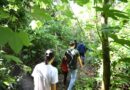 Trilha Quilombo Apepu integra natureza, história e cultura na região Cataratas e Caminhos Trilha Quilombo Apepu integra natureza, história e cultura na região Cataratas e Caminhos