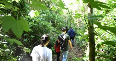 Trilha Quilombo Apepu integra natureza, história e cultura na região Cataratas e Caminhos Trilha Quilombo Apepu integra natureza, história e cultura na região Cataratas e Caminhos
