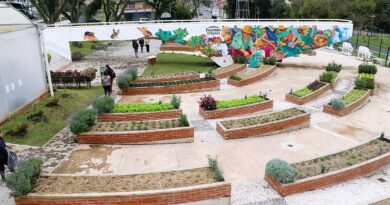 Visita com nutricionista do Oeste do Paraná destaca alimentação escolar e segurança alimentar Visita com nutricionista do Oeste do Paraná destaca alimentação escolar e segurança alimentar
