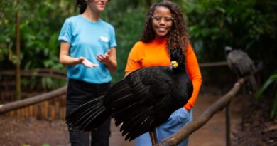Parque das Aves registra o melhor agosto de sua história Parque das Aves registra o melhor agosto de sua história