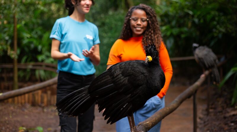 Parque das Aves registra o melhor agosto de sua história