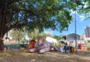 Projeto Onças do Iguaçu leva exposição e onça-pintada gigante à Feira do Livro de Foz