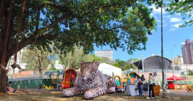Projeto Onças do Iguaçu leva exposição e onça-pintada gigante à Feira do Livro de Foz