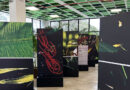 Exposição “Noites da Floresta” segue em cartaz no Ecomuseu até domingo
