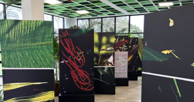 Exposição “Noites da Floresta” segue em cartaz no Ecomuseu até domingo Exposição “Noites da Floresta” segue em cartaz no Ecomuseu até domingo