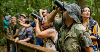 Ecoturismo em Antonina: conheça as reservas da SPVS na Mata Atlântica