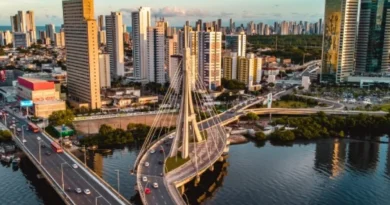 Insight Feiras & Negócios é homenageada na Câmara Municipal do Recife por impulsionar economia