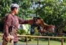 Dia das Crianças no Zoo Park Foz terá até 40% de desconto para iguaçuenses e moradores de municípios lindeiros Dia das Crianças no Zoo Park Foz terá até 40% de desconto para iguaçuenses e moradores de municípios lindeiros